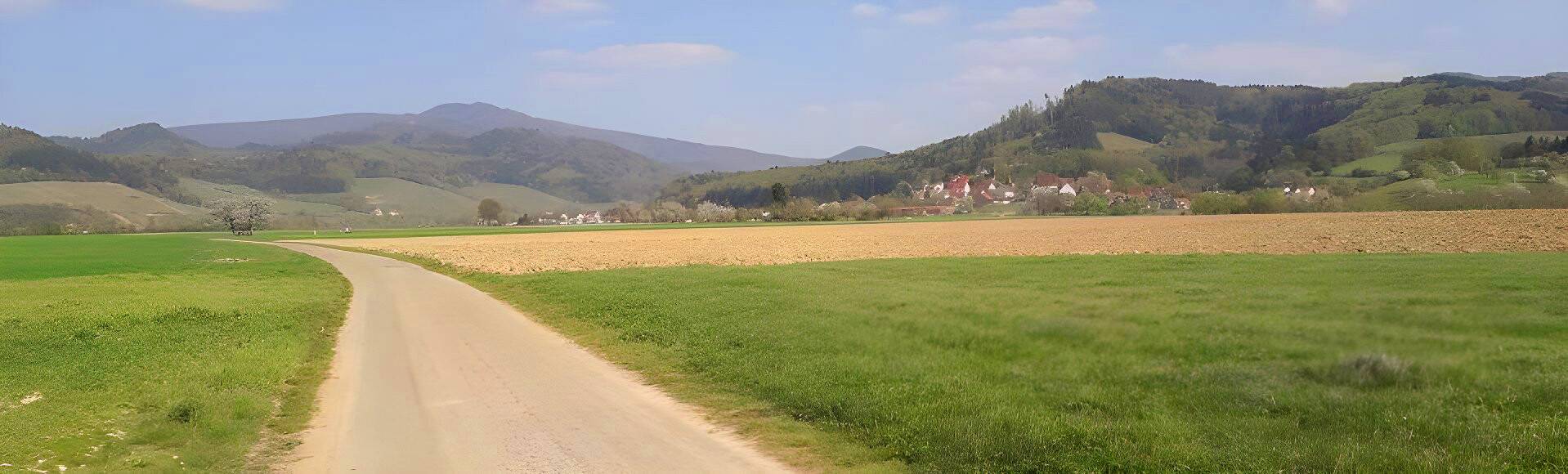 Quelle: ev. Kirchengemeinde Denzlingen
